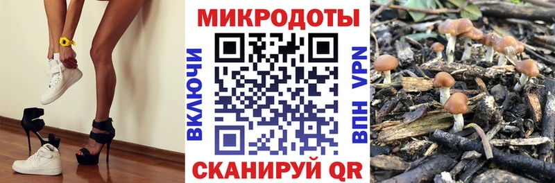 Псилоцибиновые грибы Cubensis  где купить наркоту  Ессентуки 
