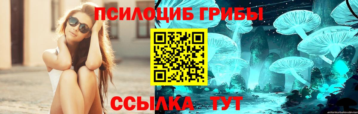 сколько стоит  Вход с VPN  Ессентуки  Галлюциногенные грибы GOLDEN TEACHER 